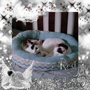 Meet your Posher, Candice